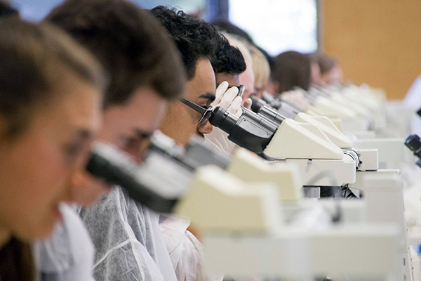 Pūhoro STEMM Academy students using microscopes